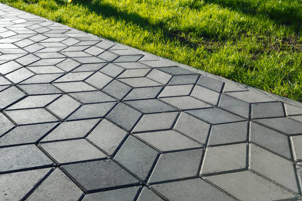 Best Driveway Paving Contractor  in Warsaw, VA